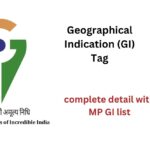 GI tag of mp