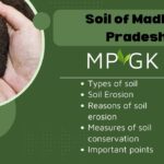 soil of MP