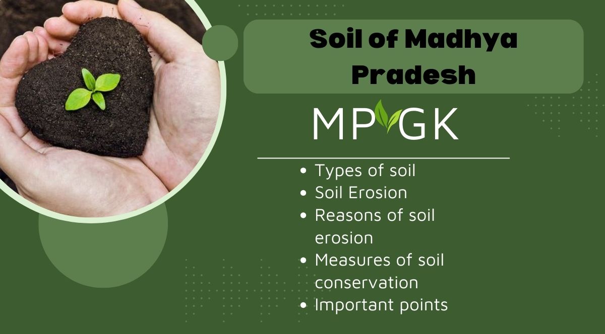 soil of MP