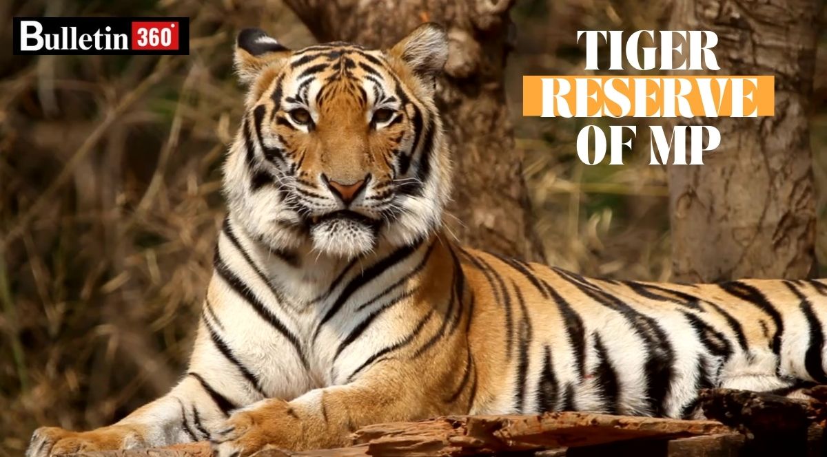 Tiger Reserve in mp